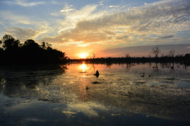 Sunset @ Bakong Angkor Cambodia Layback Travel