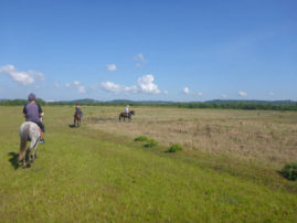 Horse Riding Sihanoukville Cambodia Layback Travel