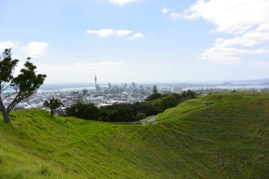 View of Auckland, New Zealand - Layback Travel