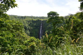 Waterfall Samoa Layback Travel