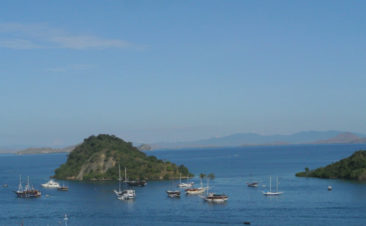 Boats in Labuanbajo, Flores - Indonesia