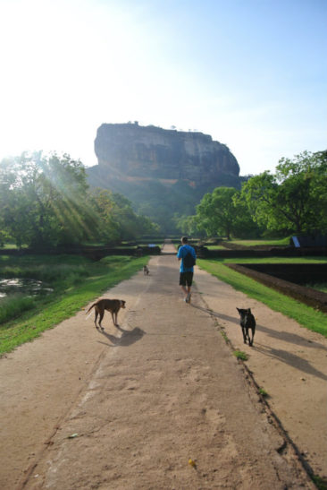 Sigiriya - Sri Lanka