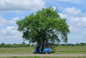 Tuk Tuk near Arugam Bay in Sri Lanka