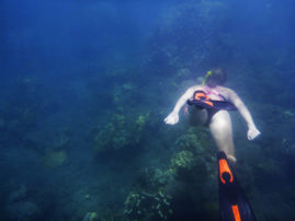 Snorkeling Amed, Bali