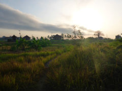 Kedungu, Bali