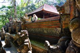 Monkey Forest Ubud, Bali