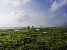 Surfing at Greenbowl, Bali