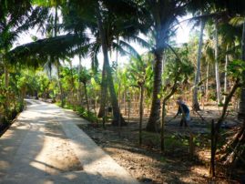 Near Pacitan - Java, Indonesia