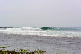 Surfer at Pangandaran Reef - Java, Indonesia