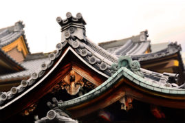 Temple Roof - Japan