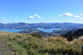 Akaroa, New Zealand - Layback Travel