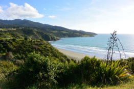Beach Break near Raglan, New Zealand - Layback Travel