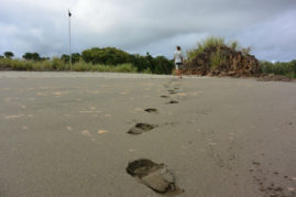 Footprints in the Sand, Panama - Layback Travel