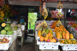 Fruits - Aceh, Sumatra - Layback Travel