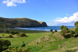 Hickory Bay Surf Spot, New Zealand - Layback Travel