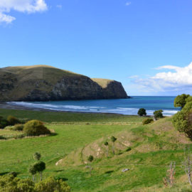 Hickory Bay Surf Spot, New Zealand - Layback Travel