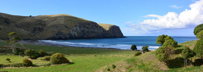 Hickory Bay Surf Spot, New Zealand - Layback Travel