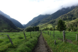 Hiking near Salento, Colombia - Layback Travel