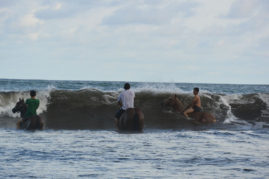 Horses in Waves in Guanico, Panama Layback Travel