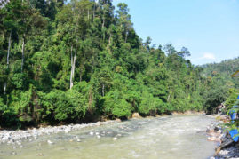 Bukit Lawang River, Sumatra - Layback Travel