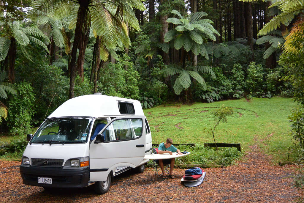 Lucys Gully Nationalpark, New Zealand - Layback Travel