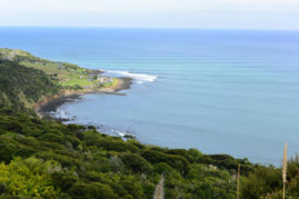 Manu Bay Surf Spot near Raglan, New Zealand - Layback Travel