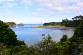 Mokau, New Zealand - Layback Travel