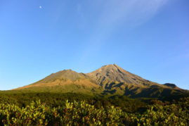 Mount Egmont National Parc, New Zealand - Layback Travel