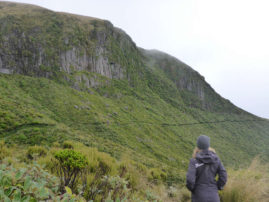 Mount Egmont - Taranaki, New Zealand - Layback Travel