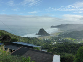 Piha, New Zealand - Layback Travel