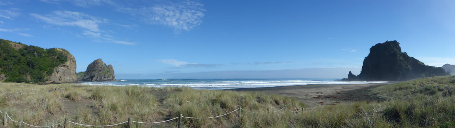 Piha Beach Lion Rock - New Zealand - Layback Travel