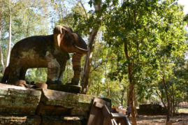 Elephant @ Prasat Domrey Cambodia Layback Travel
