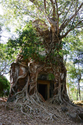 Mystic Prasat Pram Cambodia Layback Travel