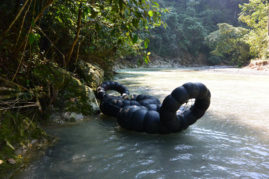 Jungle tour bukit lawang river raft - Sumatra - Layback Travel