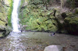 Seal Puppy Waterfalll, New Zealand - Layback Travel