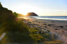 Sunrise at Gisborne, New Zealand - Layback Travel