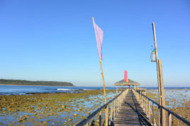 Reef Surf Spot Philippines Layback Travel