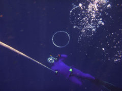 Air Bubble from Freediver - Layback Travel