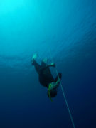Freediving head first - Layback Travel