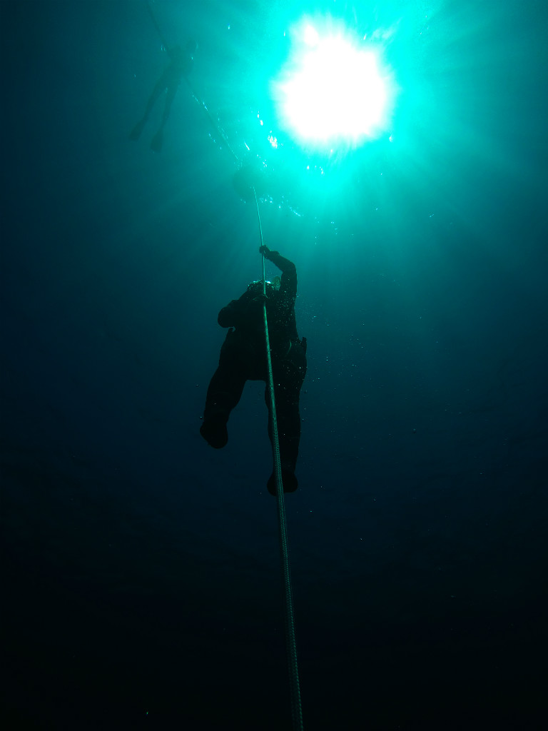 Sunlight - Freedivers - Layback Travel