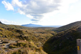 Landscape in Tongariro National Park