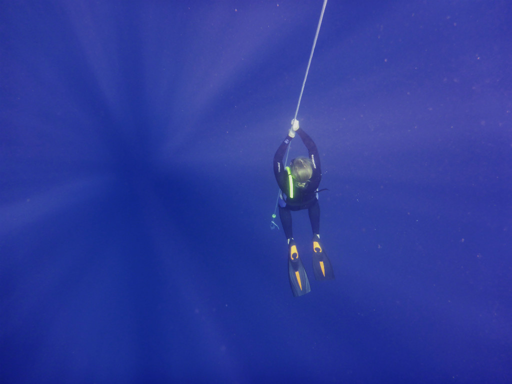 Melanie Wappler - Freediving - Layback Travel