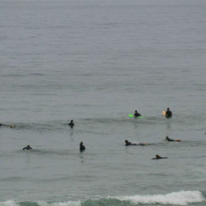 ocean surfing surfers waves blacks beach california line up surfers waiting for waves people in the water layback travel