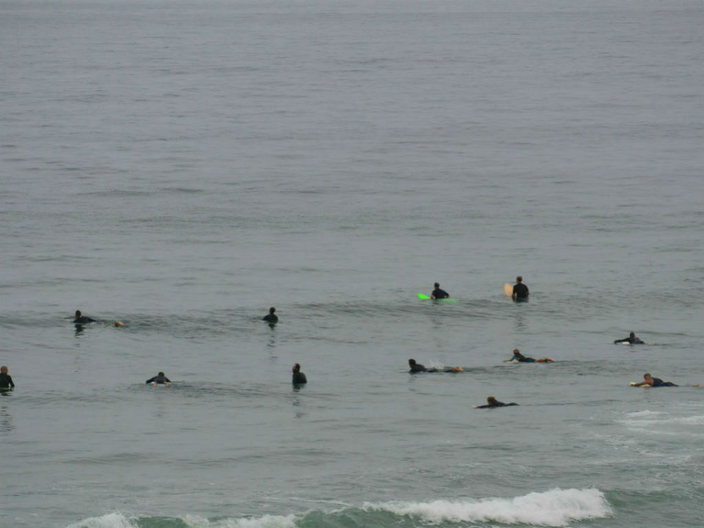 ocean surfing surfers waves blacks beach california line up surfers waiting for waves people in the water layback travel